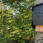 Abendexkursion in Hanau: Fledermäuse im Licht- und Luftbad beobachten