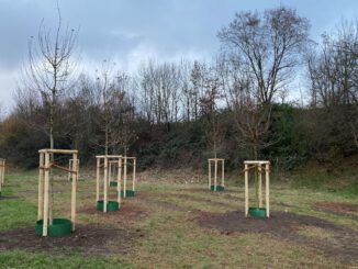 Hanau eröffnet neues Bürgerwäldchen in Großauheim am Heinrich Heine Weg