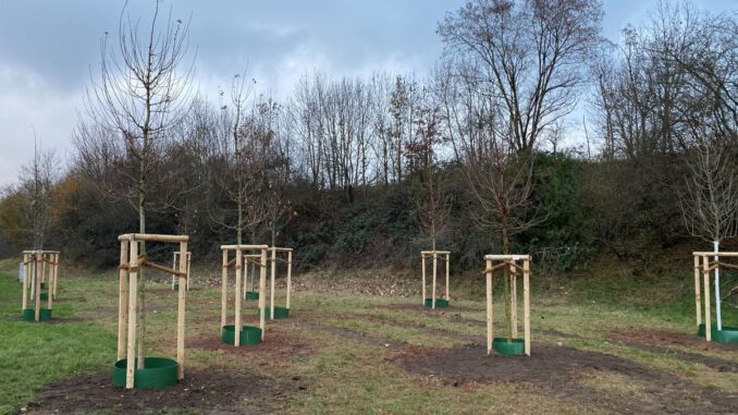 Hanau eröffnet neues Bürgerwäldchen in Großauheim am Heinrich Heine Weg Hanau eröffnet neues Bürgerwäldchen in Großauheim am Heinrich Heine Weg
