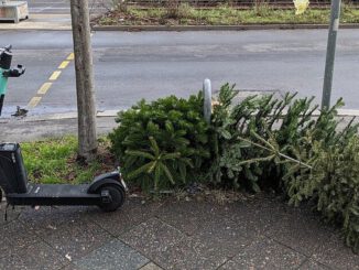Offenbach startet Weihnachtsbaumabfuhr am 12. Januar: Termine nach Postleitzahl, kein Sperrmüllservice