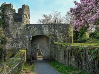 Steinheimer Stadtmauer nach Reparatur: Große Ausbruchstelle geschlossen und Bestandsaufnahme läuft