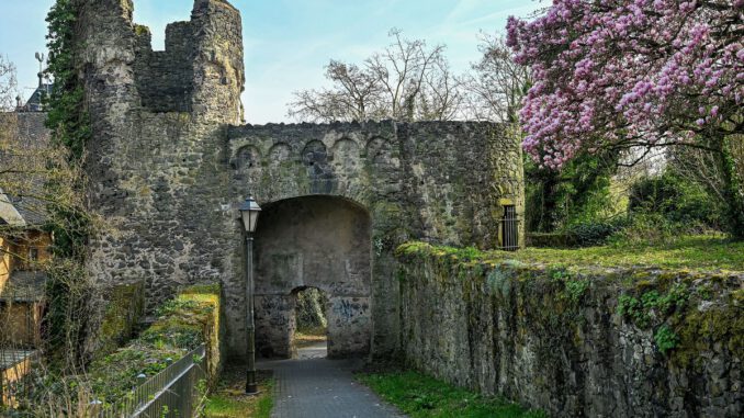 Steinheimer Stadtmauer nach Reparatur: Große Ausbruchstelle geschlossen und Bestandsaufnahme läuft Steinheimer Stadtmauer nach Reparatur: Große Ausbruchstelle geschlossen und Bestandsaufnahme läuft
