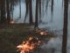 Trockenheit erhöht Waldbrandrisiko: Stadt warnt und HessenForst verbietet offenes Feuer und Rauchen
