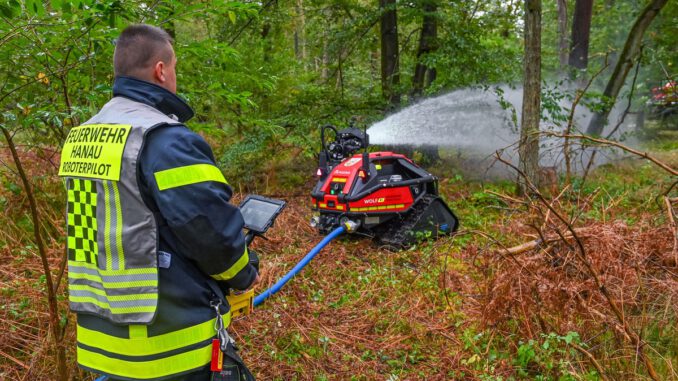 Waldbrand bei Hanau löscht 2,5 Hektar Vegetation und löst Warnruf der Stadt aus
