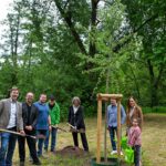Zitterpappel am Kinzigufer: Hanau pflanzt Baum des Jahres 2026